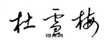 梁錦英杜雪梅草書個性簽名怎么寫