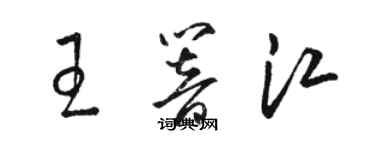 駱恆光王響江草書個性簽名怎么寫