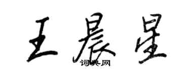 王正良王晨星行書個性簽名怎么寫