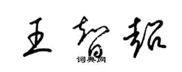 梁錦英王智超草書個性簽名怎么寫