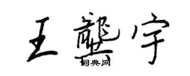 王正良王龔宇行書個性簽名怎么寫