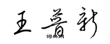 梁錦英王普新草書個性簽名怎么寫