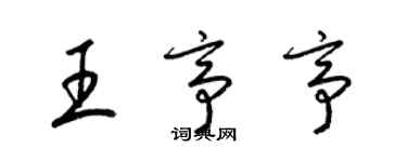 梁錦英王亭亭草書個性簽名怎么寫