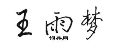 駱恆光王雨夢行書個性簽名怎么寫