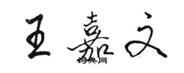 駱恆光王嘉文行書個性簽名怎么寫