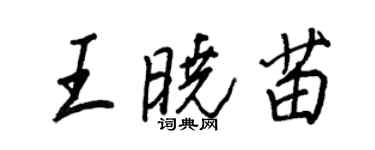 王正良王曉苗行書個性簽名怎么寫