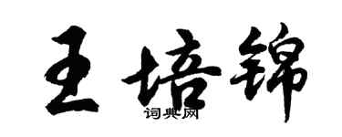 胡問遂王培錦行書個性簽名怎么寫