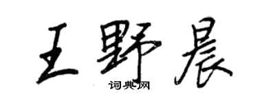 王正良王野晨行書個性簽名怎么寫