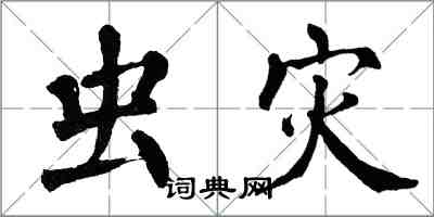 翁闓運蟲災楷書怎么寫