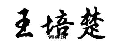 胡問遂王培楚行書個性簽名怎么寫