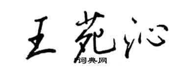 王正良王苑沁行書個性簽名怎么寫