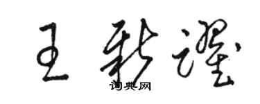 駱恆光王新躍草書個性簽名怎么寫