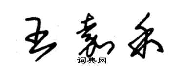 朱錫榮王嘉禾草書個性簽名怎么寫