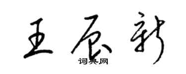 梁錦英王辰新草書個性簽名怎么寫
