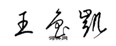 梁錦英王魯凱草書個性簽名怎么寫