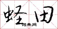 蟶田怎么寫好看