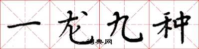周炳元一龍九種楷書怎么寫