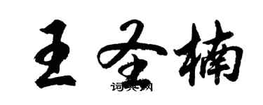 胡問遂王聖楠行書個性簽名怎么寫