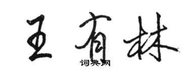駱恆光王有林行書個性簽名怎么寫