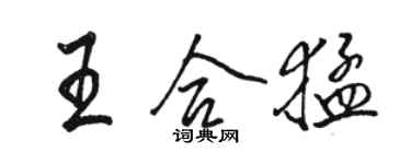 駱恆光王合猛行書個性簽名怎么寫