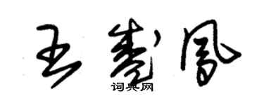 朱錫榮王盛鳳草書個性簽名怎么寫