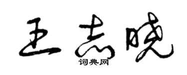曾慶福王志曉草書個性簽名怎么寫