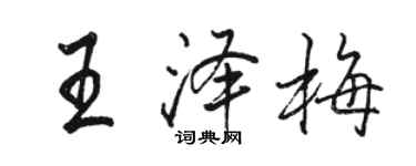 駱恆光王澤梅行書個性簽名怎么寫