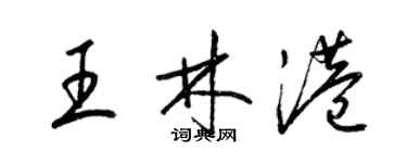 梁錦英王林港草書個性簽名怎么寫