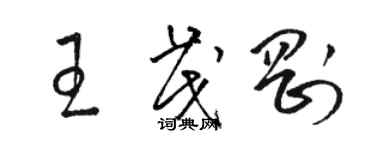 駱恆光王茂剛草書個性簽名怎么寫