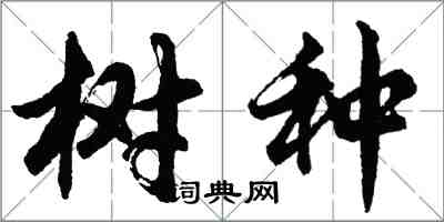 胡問遂樹種行書怎么寫