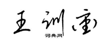 梁錦英王訓沖草書個性簽名怎么寫