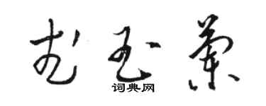 駱恆光武玉蘭草書個性簽名怎么寫