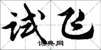 胡問遂試飛行書怎么寫