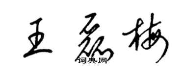 梁錦英王磊梅草書個性簽名怎么寫