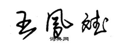 朱錫榮王鳳斌草書個性簽名怎么寫