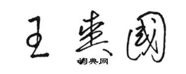 駱恆光王爽國草書個性簽名怎么寫