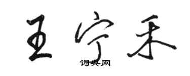 駱恆光王寧禾行書個性簽名怎么寫