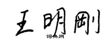 王正良王明剛行書個性簽名怎么寫