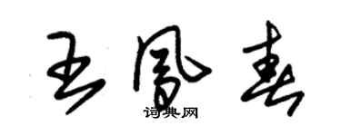 朱錫榮王鳳春草書個性簽名怎么寫