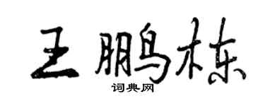 曾慶福王鵬棟行書個性簽名怎么寫