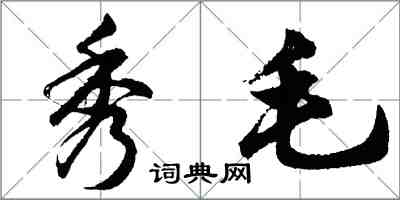 胡問遂秀毛行書怎么寫