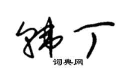 朱錫榮韓丁草書個性簽名怎么寫