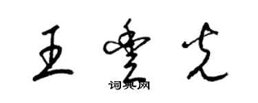 梁錦英王豐光草書個性簽名怎么寫