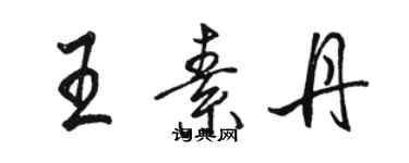 駱恆光王素丹行書個性簽名怎么寫