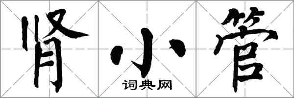 翁闓運腎小管楷書怎么寫