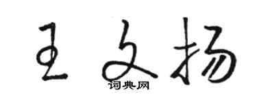 駱恆光王文揚草書個性簽名怎么寫