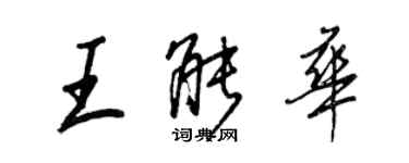 王正良王能華行書個性簽名怎么寫