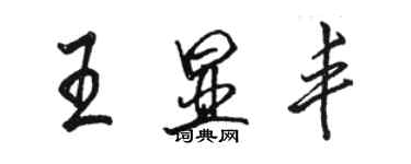 駱恆光王顯豐行書個性簽名怎么寫