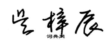 朱錫榮吳梓辰草書個性簽名怎么寫