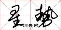 朱錫榮星勢草書怎么寫